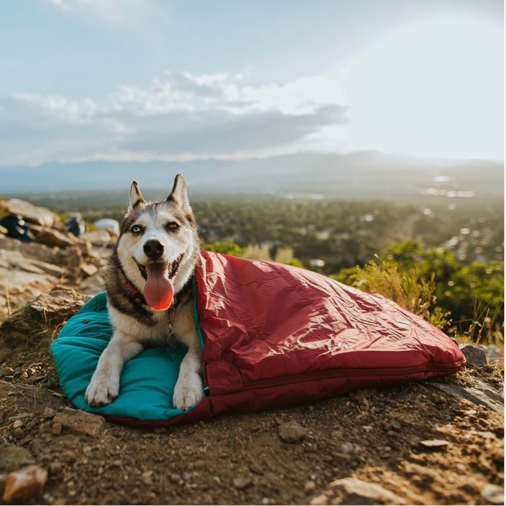 Wilderdog Sleeping Bag in maroon and teal